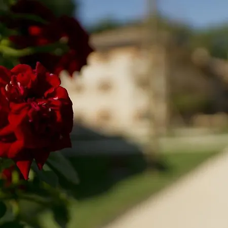 호텔 Ca' Muliner 3*