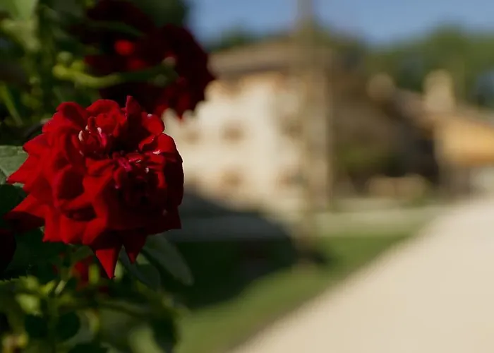 Hotel Ca' Muliner 3*